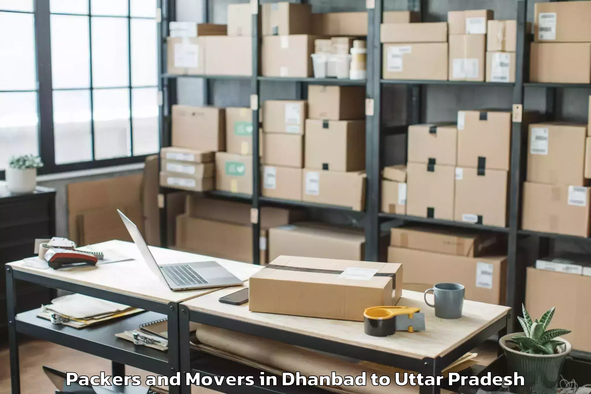 Professional Dhanbad to Belthara Road Packers And Movers